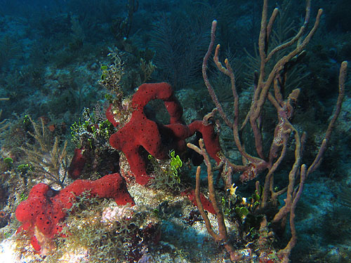 2003-04-25 222747.jpg